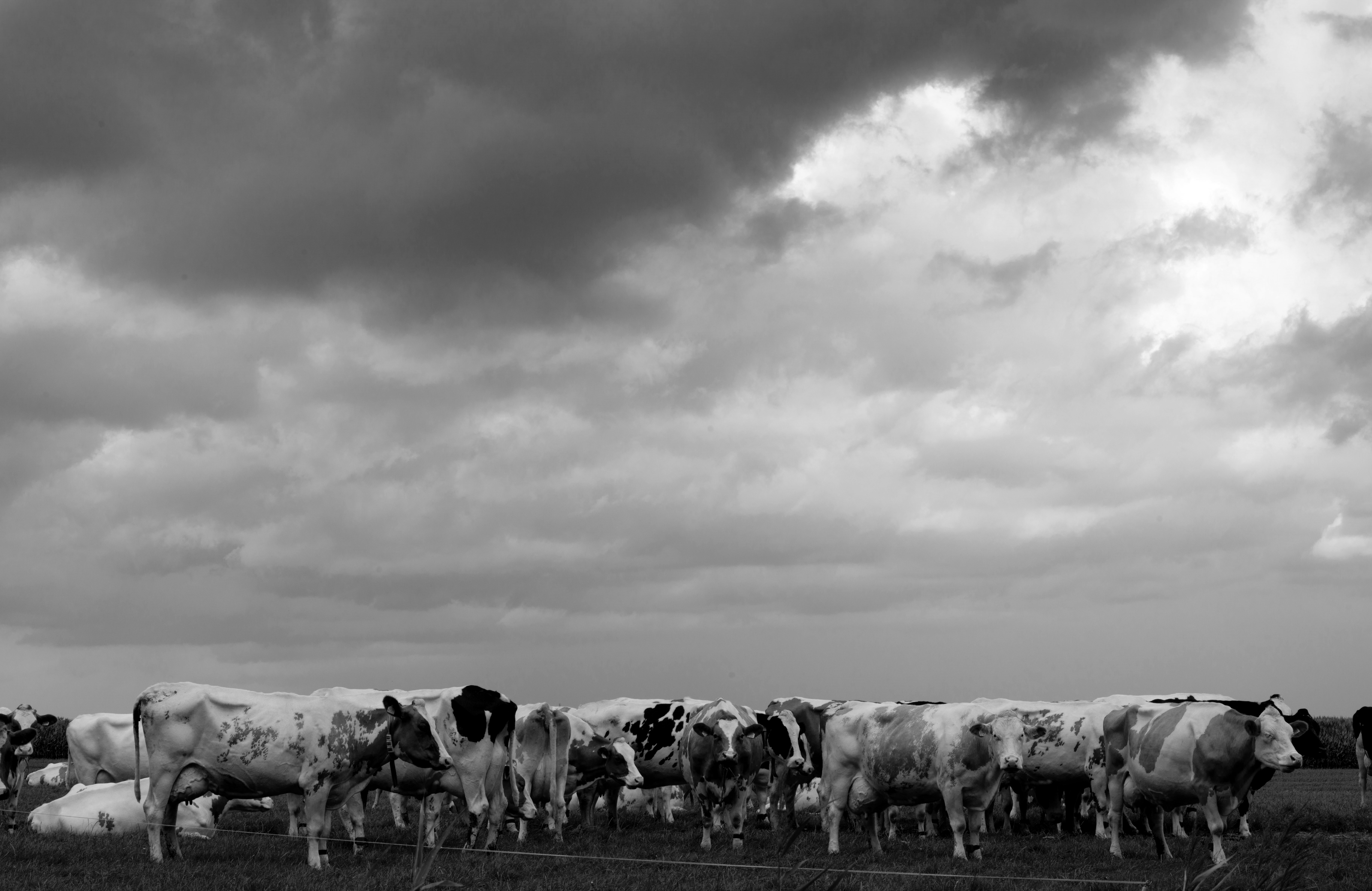 Landgraaf-4 zwart wit