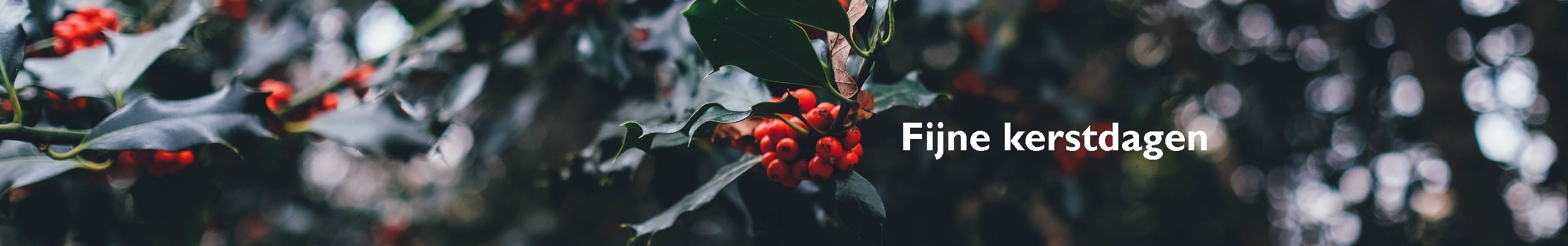 kerst 4 header 2