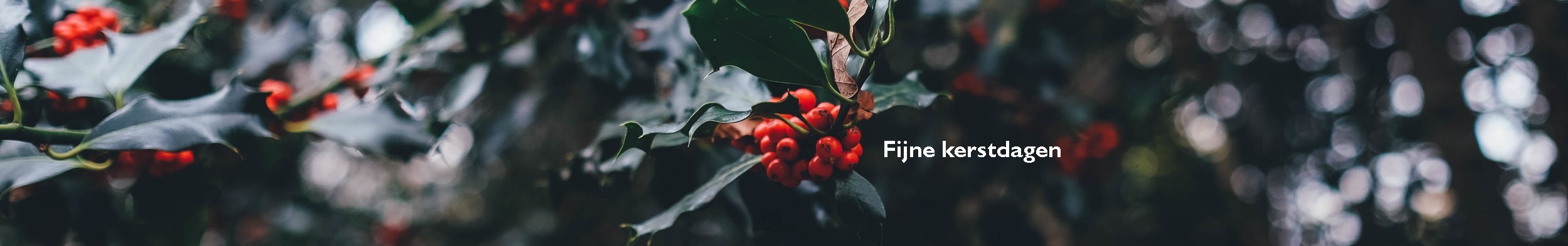 kerst 4 header 3