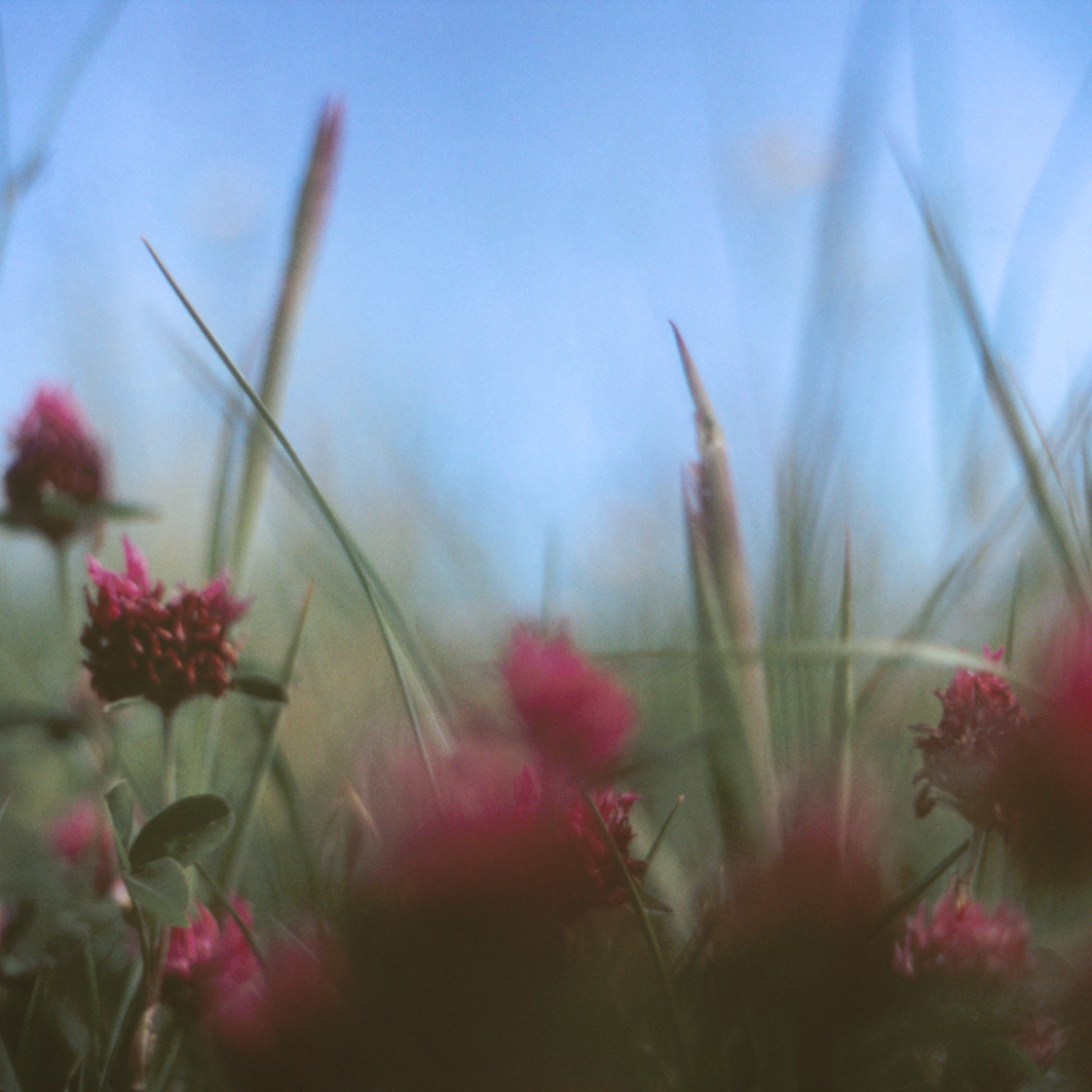 Jessica Kittle – the little things