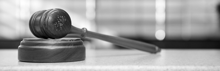 hamer recht rechtspraak header 2