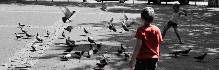 Header kinderen-duiven