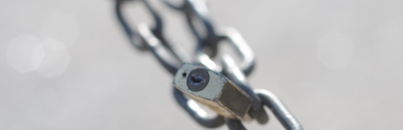 Wwz chain header