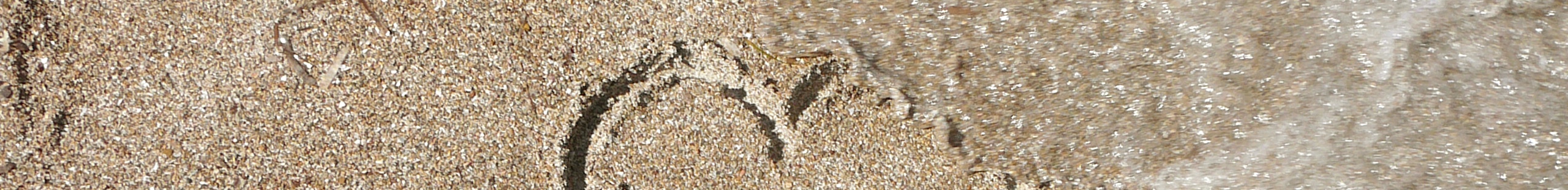 Uit elkaar header