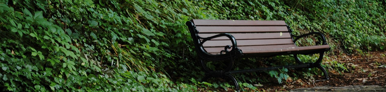 familierecht erfrecht header 4