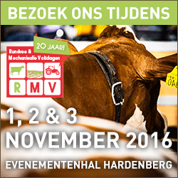 19089-rmv-hb_banner_250x250px_stil_koe