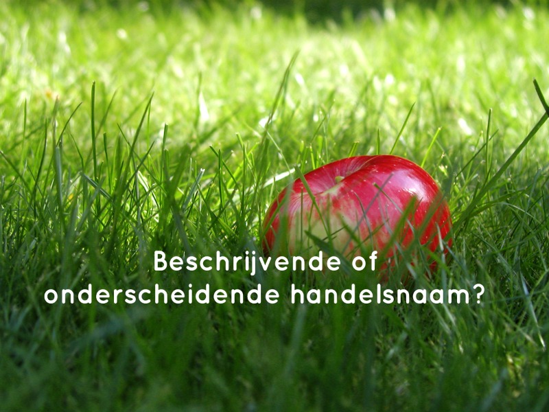 Kies bij voorkeur een onderscheidende handelsnaam | Een beschrijvende handelsnaam kent maar een beperkte beschermingsomvang
