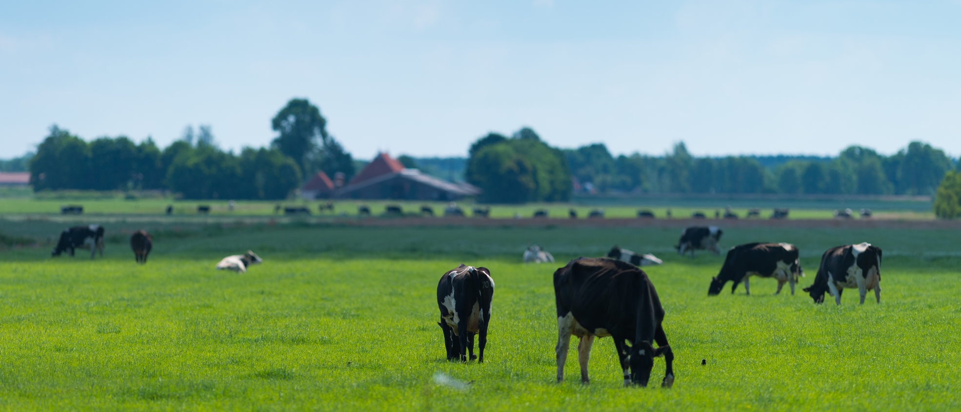Agrarisch & Grondzaken