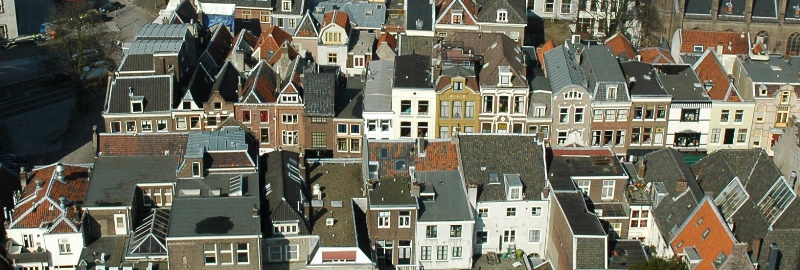 Burenhinder header3