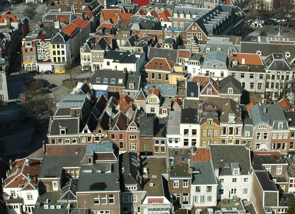 Burenhinder uitgelicht