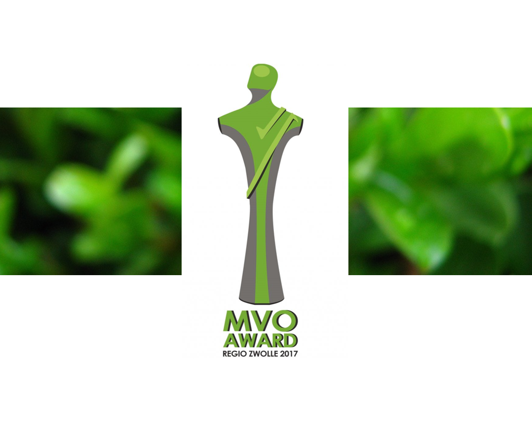 MVO Award 2017