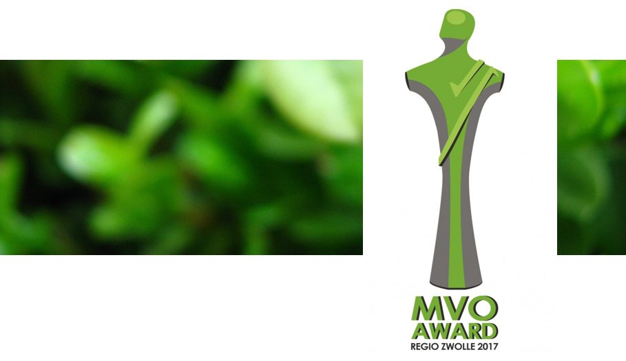 MVO Award Regio Zwolle Header