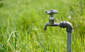 droogteschade waterwinning