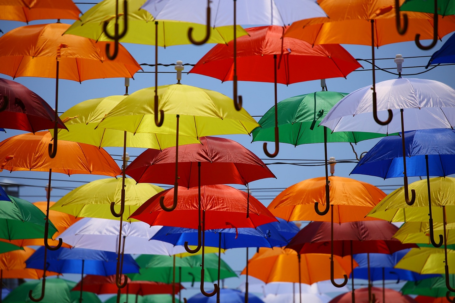 umbrellas-g00addc249_1920